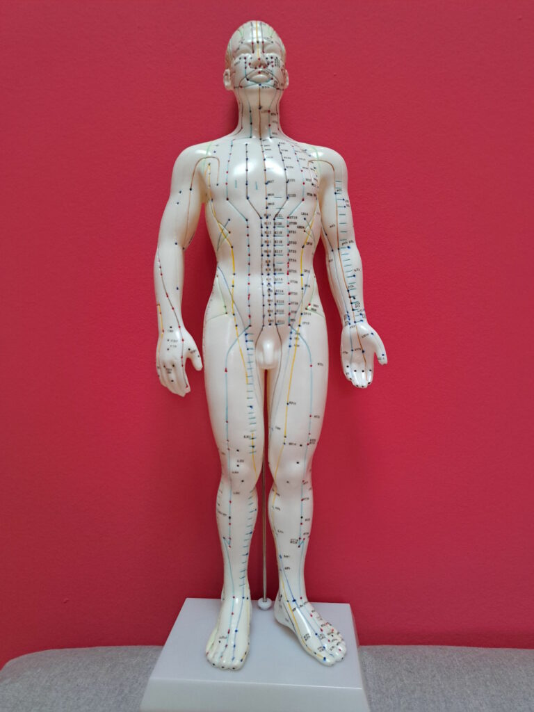 représentation des méridiens méridiens